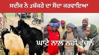 ਸਦੀਕ ਨੇ 2ਬੱਕਰੇ ਲੈਕੇ ਦਿੱਤਾ 😱ਮੀਆ ਨਾਲ ਫਸੀ ਗਰਾਰੀ ਘਾਟਾਂ ਨਾਲ ਨਹੀਂ ਵੇਚਣਾ #goatfarming #naveedkhangoatfarm 