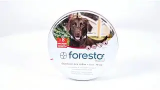 Ошейник Bayer Foresto для собак весом более 8 кг