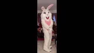Easter Bunny Mascot Full suit video