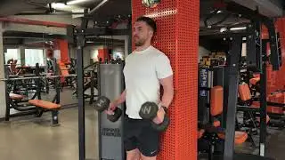 Wall supported dumbbell hammer curls