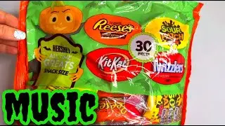 Giant Bag Of Halloween Candy opening kit Kat Candy Bars, Twizzlers, Sour Patch Kids, Reese's cups