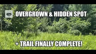 Urban STEALTH CAMP Trail Complete! Returning to My Hidden Spot Now Overgrown and Alive! Ep. 14