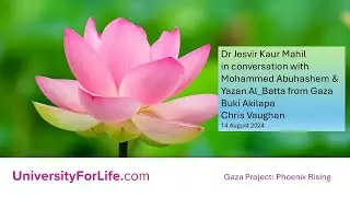 Gaza Phoenix Rising Project (5) 14 August 2024