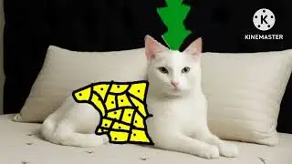 compilado dos todos meus brainrots italianos 