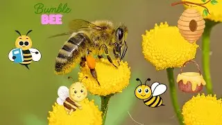 Buzzing Fun! 🐝🎶 Sing Along to the Bumblebee Song for Kids