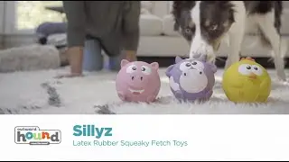 Sillyz Squeaky Fetch Toys | Outward Hound