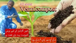 Organic vermicomposting business guide | new business idea