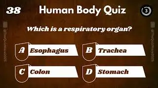 Human Body Quiz Challenge | Test Your Anatomy Knowledge!