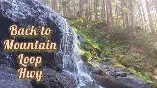 This place is magic! 💚 Washington State National Forest (no drone)