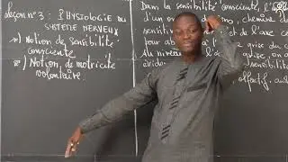 Cours - 3e - SVT : Physiologie du système nerveux 2/4