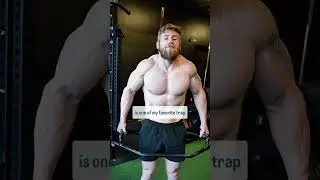 Want bigger, stronger traps? Load up the trap bar.