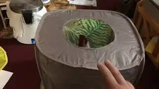 Cat-In-The-Box