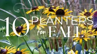 10 Stunning Fall Container Ideas 🌾🍂🧡 *MY BEST FALL PLANTINGS 3 Year Compilation*