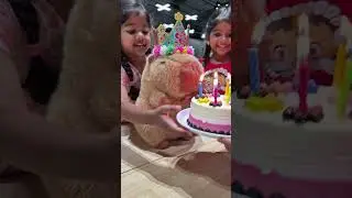 Today, two lovely girls celebrated the birthday of capybara! #capybara #happybirthday #cute