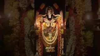 Venkata Ramana Govinda🚩Tirupati Balaji #devotionalsongs#venkateswara #song #tirumala#shortsfeed #yt