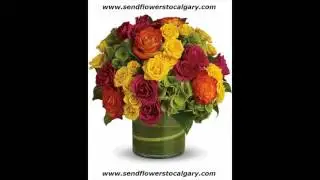 airdrie alberta flower shops