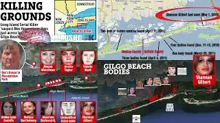 LISK: THE GILGO BEACH MURDERS (LONG ISLAND SERIAL KILLER): A LOGICAL ANALYSIS #lisk #crime