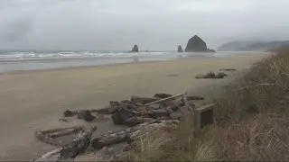 Oregon coast empty 1 week after crowds ignored Covid 19 warnings to stay home