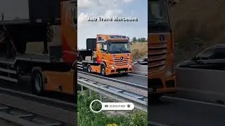 Job Trans Mercedes