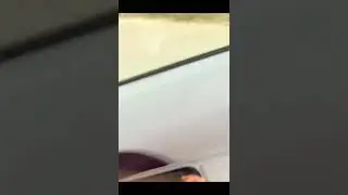 Toyota Aqua self drive