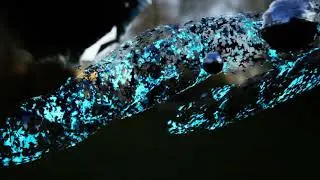 Bats, from The Deep Listener: Jakob Kudsk Steensen