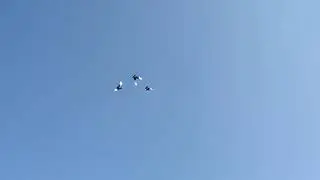 3 Squadron.My diving pigeon