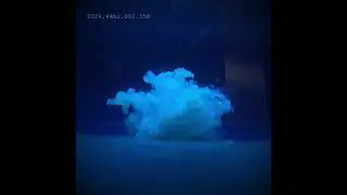 Growing slime mold in water-sine wave @ 44hz #slimatics #slimemold #timelapse #cymatics #slimelapse