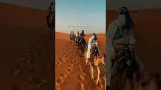 You&rsquo;ve Never Seen the Sahara Like This Before 🌵✨