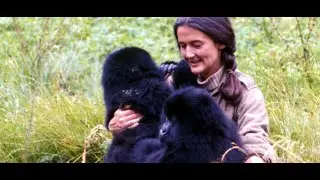 UN AUTRE MEURTRE A L EST DE LA RDCONGO  MESSAGE PROPHETIC PAR KAMANI
