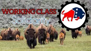 Working Class Solidarity