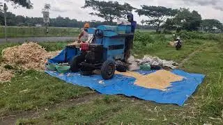 FARMERS USE SOPHISTICATED MACHINES TO SEPARATE CORN KERNELS FROM THE COBS - Agriculture Farming