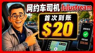 💰会员案例-01：网约车司机用 VideoBot 实测 LuluStream｜零基础首次跑通