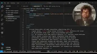 line through/del/strike/s HTML tags.