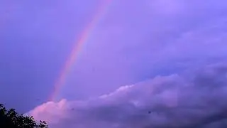 Florida Rainbow