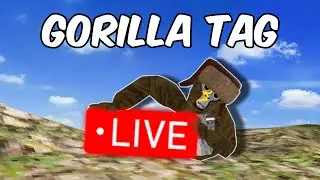 🔴GORILLA TAG LIVE WITH VIEWERS | MINIGAMES | VIRTUAL STUMP🔴