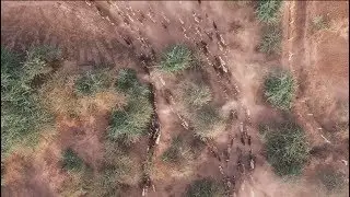 Drone Shot Compilation