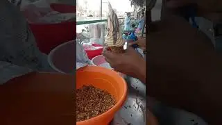 Chocolate milk & ice cream || Ice cream Favorites | Filling Platter | Pak Foods  #streetfood