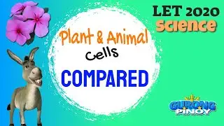 LET REVIEWER 2020 Plant and Animal Cells Compared Gen Ed Science