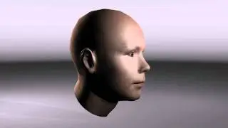 Medium Poly Female Head