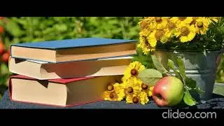 Memoria Vegetal de Umberto Eco y El ultimo Lector, de Ricardo Piglia