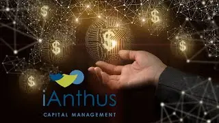 iAnthus capital is profitable?