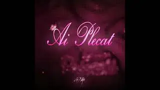 Cipi x Miki - Ai plecat (Official artwork)