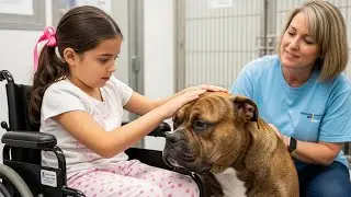 Paralyzed Girl Meets the Most Aggressive Dog in Shelter &mdash; What Happened Next Left Everyone in Tears