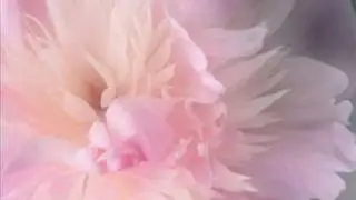 Red Flag - My Love