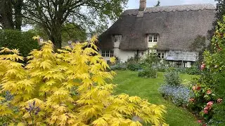 Cottage gardening April tour bluebell woods#english #garden #flowers #garden ing