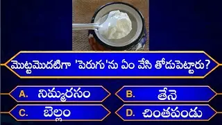 Interesting Questions In Telugu|Episode-37|By Rk thoughts|Unknown Facts|Genera Knowledge|Telugu Quiz