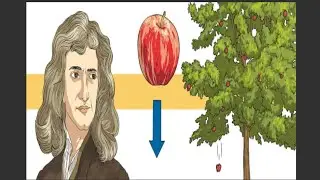 الفيزياء من الصفر | 30 نظرية الجاذبية 🍎