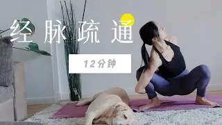 12分鐘瑜伽伸展，全身經脈疏通，緩解酸脹疲憊