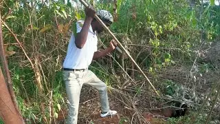 I Hunted a Giant Village Python Hiding by the River &mdash; Heart-Stopping Moments!&rdquo;