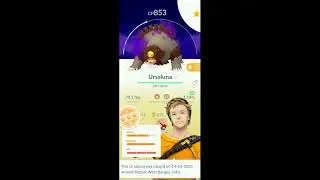 Evolving shadow Ursaring to Ursaluna #shorts